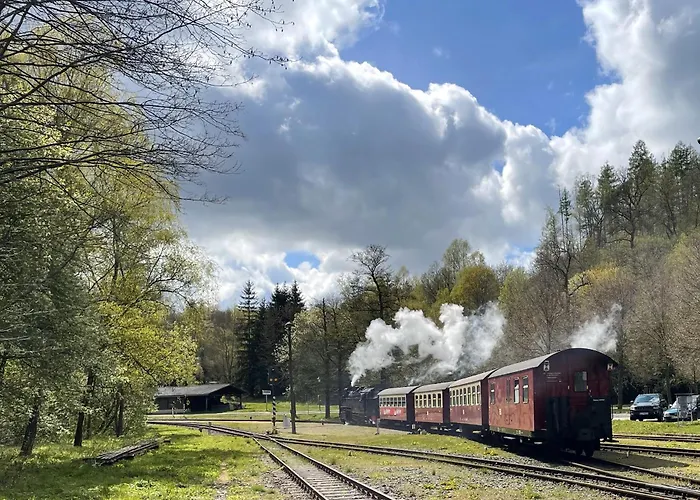 公寓 Harzgeroeder Altstadthaus *