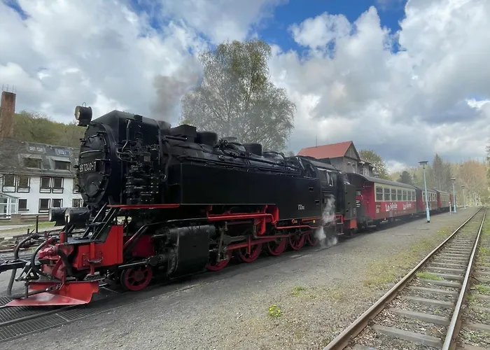 Harzgeroeder Altstadthaus 公寓 哈尔茨格罗德